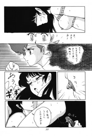 [Ashanti] RABBIT CARNIUAI (Dirty Pair) - Page 29