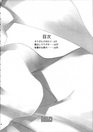 (C73) [Abradeli Kami (Bobobo)] Shinsekai (One Piece) - Page 4