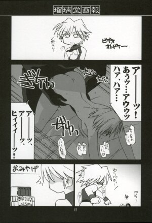 (C64) [UA Daisakusen & Lapis Lazuli (Harada Shoutarou)] Ruridou Gahou XX CODE:20 (Dead or Alive) - Page 11