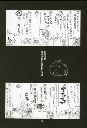 (C64) [UA Daisakusen & Lapis Lazuli (Harada Shoutarou)] Ruridou Gahou XX CODE:20 (Dead or Alive) - Page 29