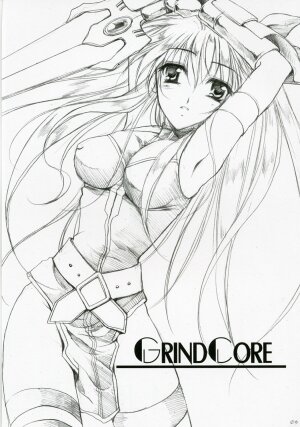 (Lyrical Magical 03) [Gin no Hoshitei (Tamiya Akito)] GrindCore (Mahou Shoujo Lyrical Nanoha) - Page 2