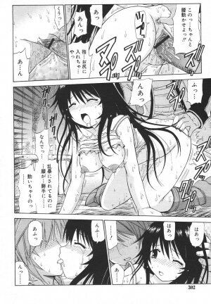 Comic Rin Vol. 13 [2006-01] - Page 302