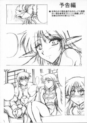 (C67) [Leaz Koubou (Oujano Kaze)] Light and Darlnell (Record of Lodoss War) - Page 23