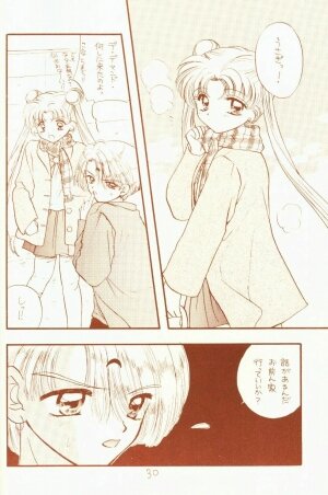 [Sailor Q2 (RYÖ)] 4946 Sailor Q2 Book no.10 (Sailor Moon) - Page 30