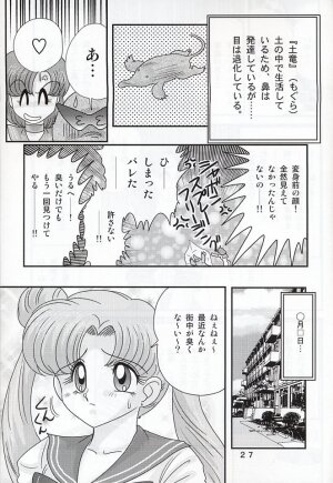 (C66) [Kantou Usagi Gumi (Kamitou Masaki)] Mizuno Ami Nikki Z (Bishoujo Senshi Sailor Moon) - Page 27