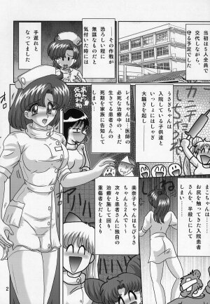 (C63) [Kantou Usagi Gumi (Kamitou Masaki)] Mizuno Ami Nasu Nikki (Bishoujo Senshi Sailor Moon) - Page 3