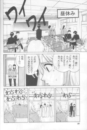 (C55) [GOLD RUSH (Suzuki Address)] Jun'ai Daiginjou (Kare Kano) - Page 21