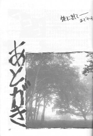 (C55) [GOLD RUSH (Suzuki Address)] Jun'ai Daiginjou (Kare Kano) - Page 66