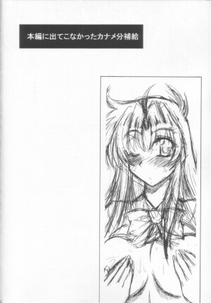 (C70) [Leaz Koubou (Oujano Kaze)] Wari to H na Sentaichou no Ichinichi (Full Metal Panic!) - Page 24