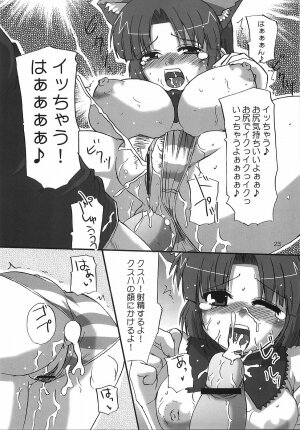 (C68) [Hard Puncher Maniax (Shibahara Gocho)] KUSUHA-BUST-UP! (Super Robot Wars) - Page 24