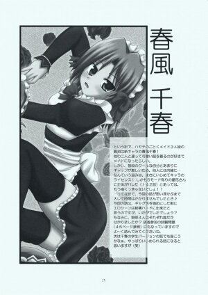 (C73) [RED RIBBON REVENGER (Makoushi, Taireru)] Maid-san tachi no Junan (Hayate no Gotoku!) - Page 18