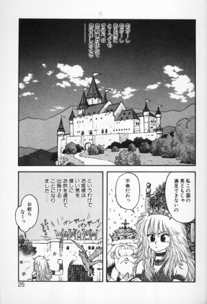 [Yui Toshiki] Princess Quest Saga - Page 25