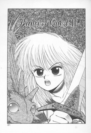 [Yui Toshiki] Princess Quest Saga - Page 41