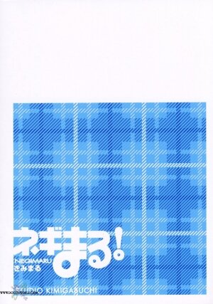(C66) [Studio Kimigabuchi (Kimimaru)] Negimaru! 2 (Mahou Sensei Negima!) [English] [SaHa] - Page 37