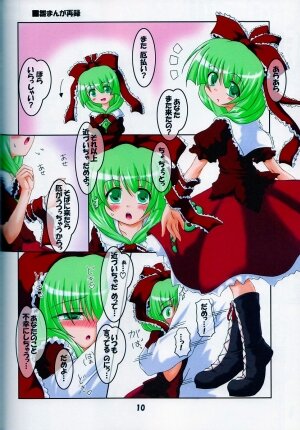 (C73) [Schwester (Shirau Inasaki) Rollin 27 (Touhou Project) - Page 9