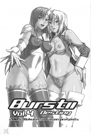 (C68) [Bakuretsu Fusen (Denkichi)] Burst!! Vol. 4 (Mobile Suit Gundam SEED DESTINY) [English] [SaHa] - Page 2