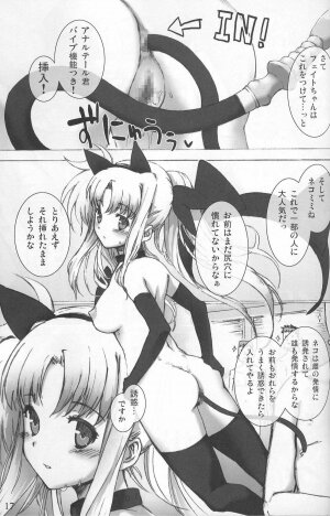 (C73) [Basutei Shower (Katsurai Yoshiaki)] SCHOOL GIRL -Fate Suzuka Arisa Gakuen Choukyou Bon- (Mahou Shoujo Lyrical Nanoha) - Page 17