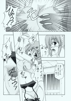 (C73) [RED RIBBON REVENGER (Makoushi, Taireru)] Maid-san tachi no Junan (Hayate no Gotoku!) - Page 33