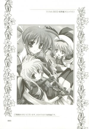 (C73) [PLUM (Kanna)] Mahou Shoujo Magical SEED  Soushuuhen X (Mahou Shoujo Lyrical Nanoha) - Page 2