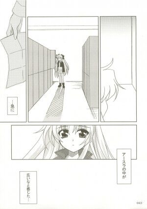 (C73) [PLUM (Kanna)] Mahou Shoujo Magical SEED  Soushuuhen X (Mahou Shoujo Lyrical Nanoha) - Page 42