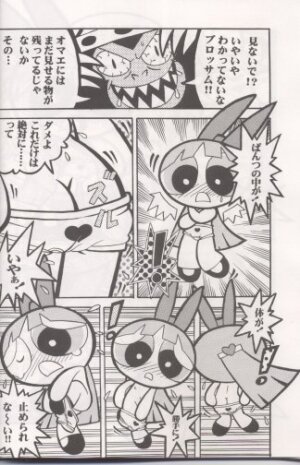 (C60) [Hayato-ya (Sakamoto Hayato)] THE PUFF PUFF GIRLS (The Powerpuff Girls) - Page 5