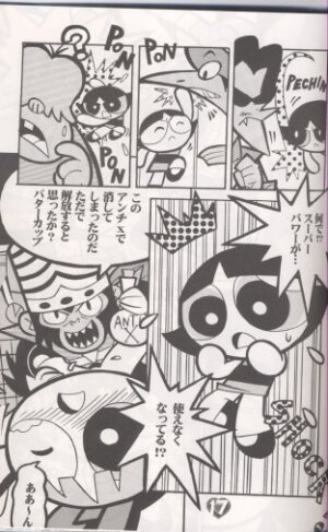 (C60) [Hayato-ya (Sakamoto Hayato)] THE PUFF PUFF GIRLS (The Powerpuff Girls) - Page 18