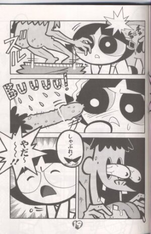 (C60) [Hayato-ya (Sakamoto Hayato)] THE PUFF PUFF GIRLS (The Powerpuff Girls) - Page 20