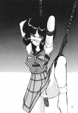 (CR27) [Thirty Saver Street 2D Shooting (Maki Hideto, Sawara Kazumitsu)] Silent Saturn 11 (Bishoujo Senshi Sailor Moon) - Page 39