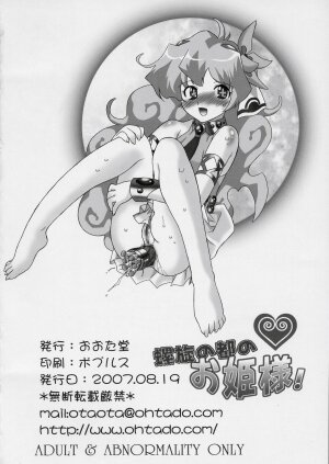 (C72) [OHTADO (Oota Takeshi)] Rasen no Miyako no Ohimesama! | Spiral Princess (Tengen Toppa Gurren Lagann) [English] [SaHa] - Page 27