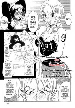 (C63) [Majimeya (isao)] Don't Trust Anybody (One Piece) [English] {doujin-moe.com} - Page 12