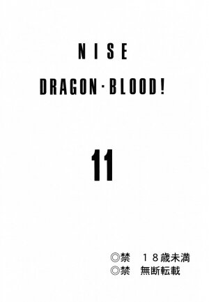 (C62) [LTM. (Taira Hajime)] Nise Dragon Blood! 11 - Page 2