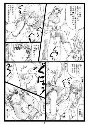 (C73) [Ohkura Bekkan (Ohkura Kazuya)] Haitoku no Yakata ~Ayane to Kokoro~ (Dead or Alive) - Page 4