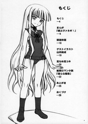 (C69) [Niko Mark (Minazuki Juuzou, Yamauchi Kazunari)] Chou Mahou Gattai Eva Negi! ~Magister Eva Negi~ (Mahou Sensei Negima!) - Page 3