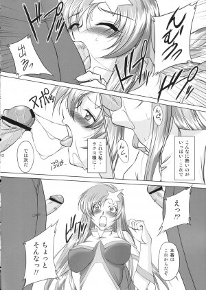 (C69) [Chaotic Arts (Mita Kurumi)] Tane de Mitashite... (Gundam Seed Destiny) - Page 11