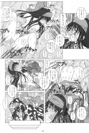 (C65) [Chill-Out (Fukami Naoyuki)] Junk Inbaku no Miko (Samurai Spirits) - Page 29