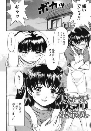 [Fujinomiya Yuu] Ane no Nioi to Boku no Shiru - Elder sister's smell and my juice - Page 36