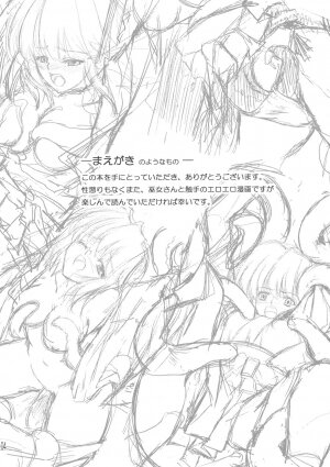 (C70) [Neko Saffron (inoino)] Yume ka Utsutsu ka Maboroshi ka - Page 3