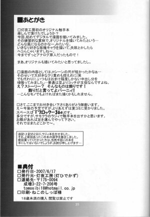 (SC36) [Tomoshibiya Koubou (Tomoshibi Hidekazu)] invitation - Page 24