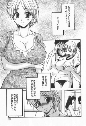 Comic Hime Dorobou 2008-01 - Page 64