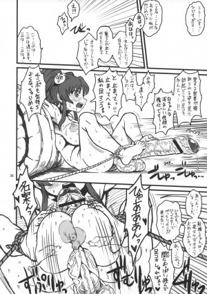 (C73) [Kakumei Seifu Kouhoushitsu (RADIOHEAD)] Theseus no Fune -Sex Sphere- (Martian Successor Nadesico) - Page 29