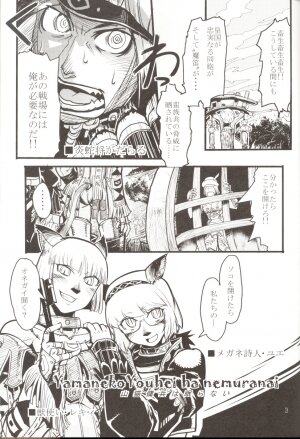 (C71) [Kuroshiki (Kurohiko)] Kuroshiki Vol. 5 (Final Fantasy XI) - Page 3