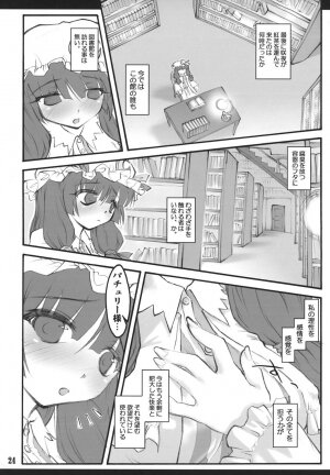 (C72) [CHIRIAKUTA (Yaburebouki Akuta)] Patchouli ~Touhou Shoujo Saiin~ (Touhou Project) - Page 23