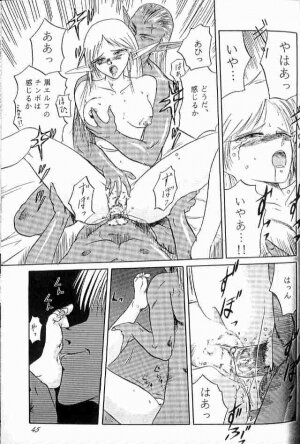 [Wakuwaku Doubutsuen] Deedlit Hon (Lodoss Tou Senki / Record of Lodoss War) - Page 2