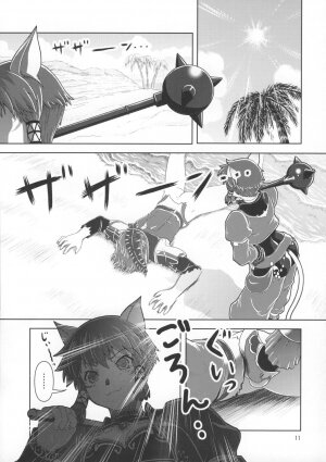 [Circle Credit (Akikan)] Anoko wa F4 (Final Fantasy XI) - Page 10