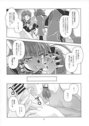 [Circle Credit (Akikan)] Anoko wa F4 (Final Fantasy XI) - Page 13