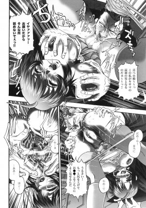 [STUDIO HAMMER ROCK (Itadaki Choujo)] Ikenie Shimai (Gundam Seed Destiny) - Page 14