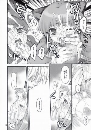 (C67) [Seinansei ni Kagayakeru Hoshi (Morino Papiko)] Ragnarok Yawa Level.5 (Ragnarok Online) - Page 23