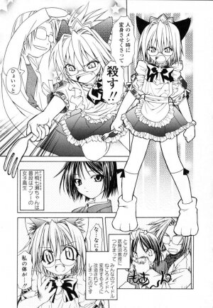 [Shizaki Masayuki] Ikeike!! Nekoro Maid - Page 24