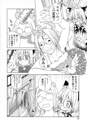 [Shizaki Masayuki] Ikeike!! Nekoro Maid - Page 39