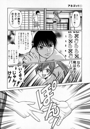 [Tamaki Nozomu] Anego!! 1 - Page 173